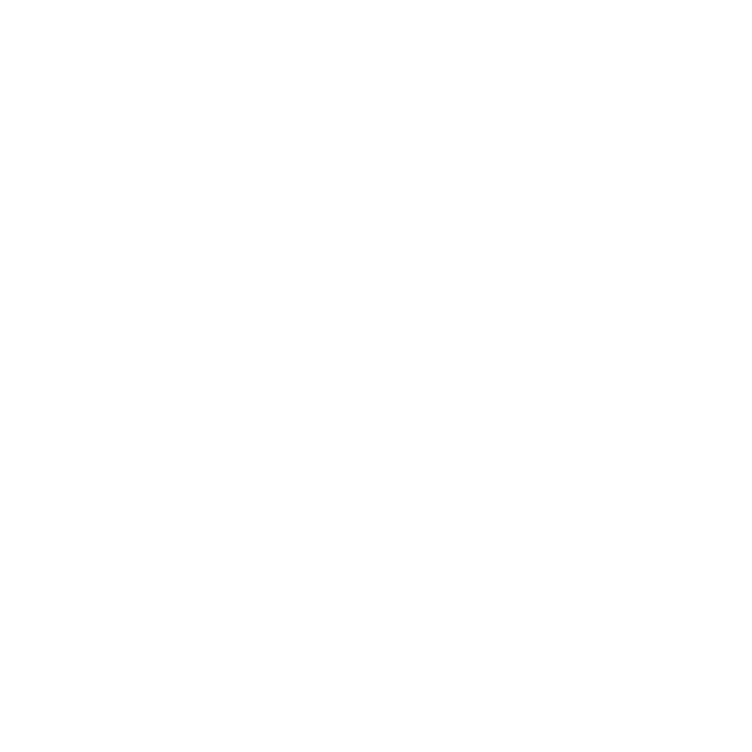 THE FORK